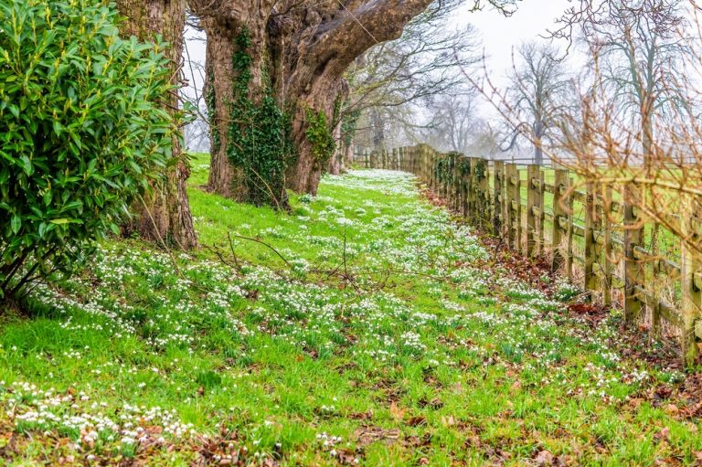 Lamport Hall and Gardens | Barton Hall Hotel | Vines Restaurant | The ...